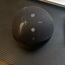 Alexa (throw up a price)