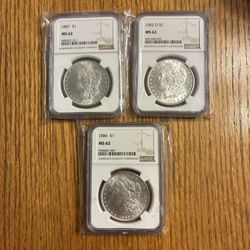 Mint State Morgan Dollars.  MS62