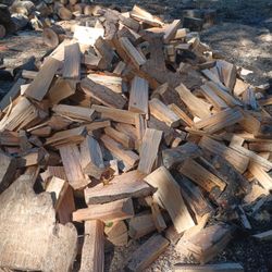 Pine Outdoor Burning Firewood Come Get As Much As You Can Haul 