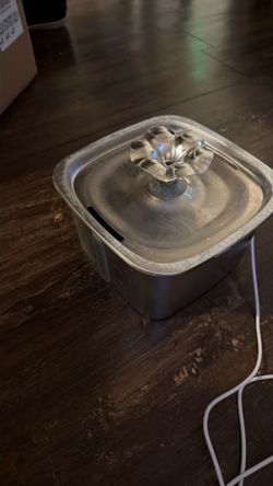 Cat fountain