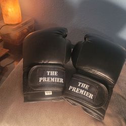 SUPER COOL BOXING GLOVES BLACK THE PREMIER 12 OZ