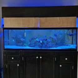 120 Gal Fish Tank 