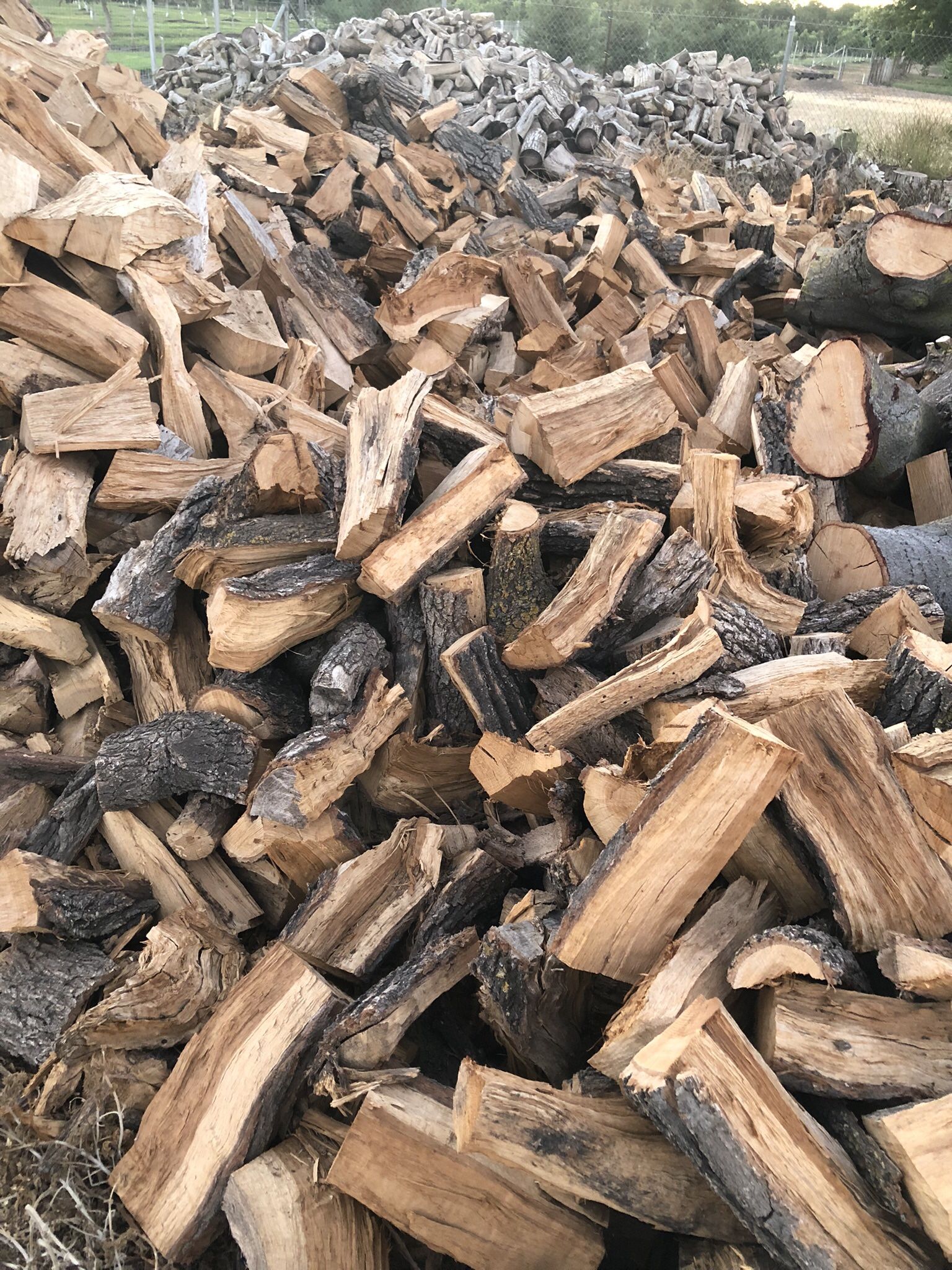 Firewood