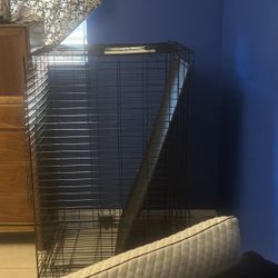 Huge Doggy Cage