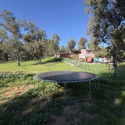 Free Trampoline