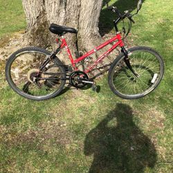 26” Mountain Bike