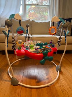 Baby Einstein jumper