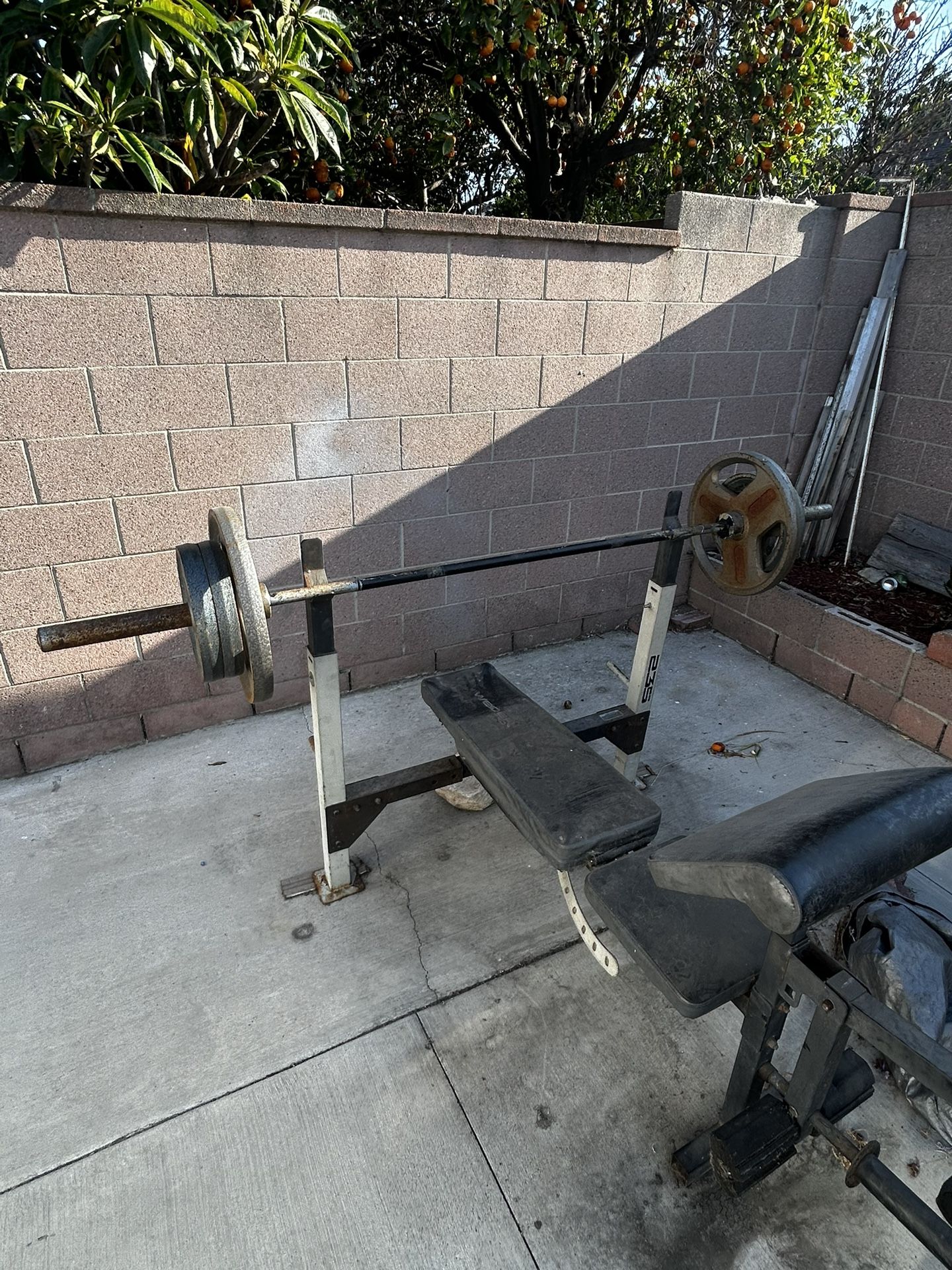 Weights+Bench Press W/ Preacher Curl & Leg Extension