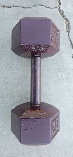 dumbbell 25 lb.