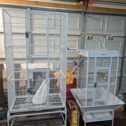 Bird Cages 