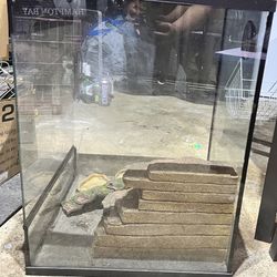 Bearded Dragon Cage