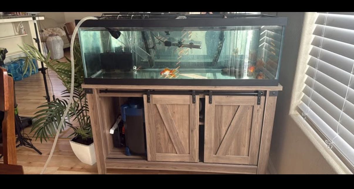60 Gallon Tank And Stand