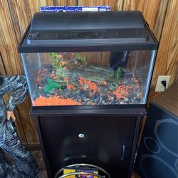 Fish Tank And Stand 