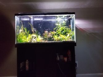 40 gallon Tank and Stand