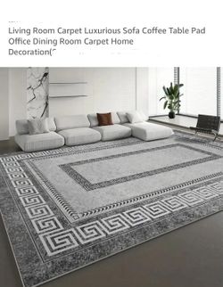 Living Room Carpet Luxurious Sofa Coffee Table Pad Office Dining Room Carpet Home size 5’x7.5’