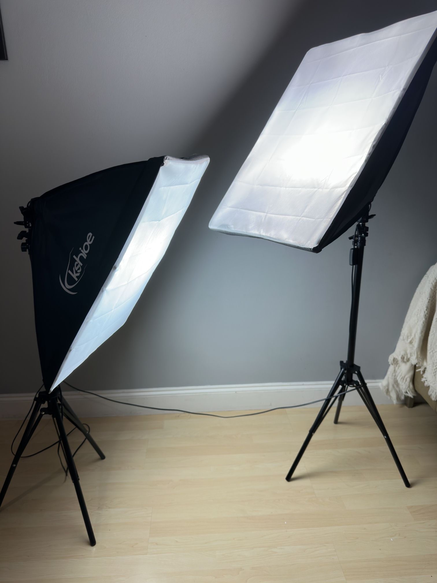 Photography Softbox Lighting Kit, YouTube Starter Kit, Photo Equipment Soft Studio Light with Light Stands and Convenient Carry Bag (with 2 softbox Li