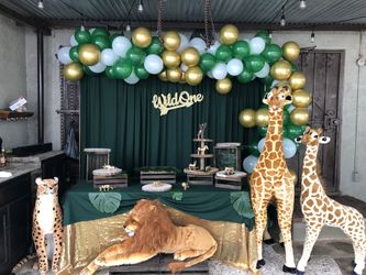 Safari theme party/ wildone theme party