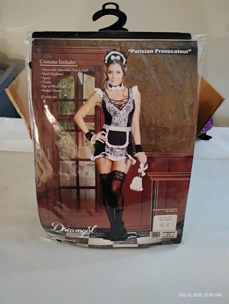 Women's Maid Costume 