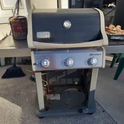 Weber Grill No Door In Front...lights Perfect evert Time