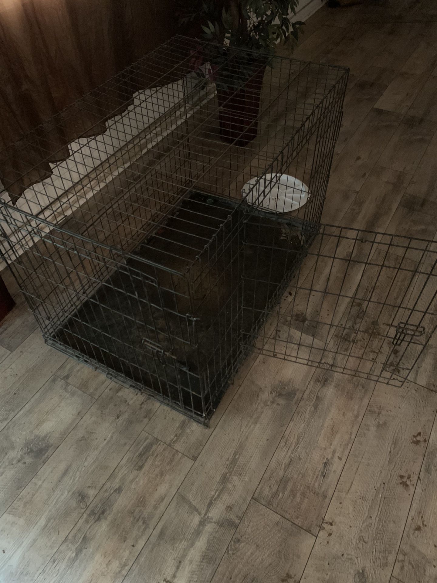 Dog Cage