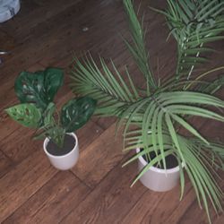 Fake plants