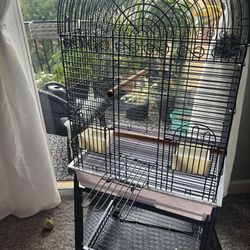 Bird Cage