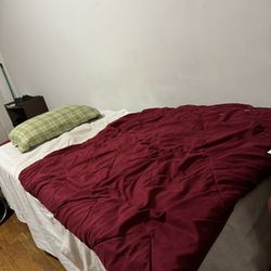 Immediatew shared accommodation available for a guy for 500$