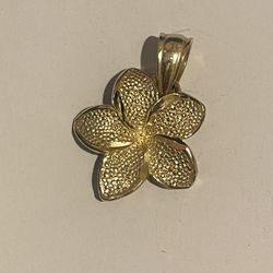 Hibiscus Gold Flower 14k 🌺