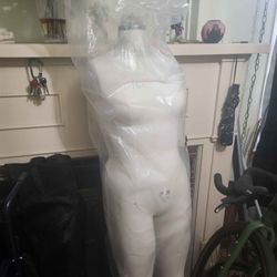 PGM Size 16 Dress Form New 