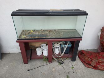 60-70 Gallon Aquarium with filter