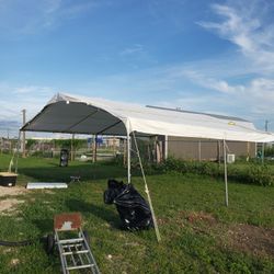 Carpa 