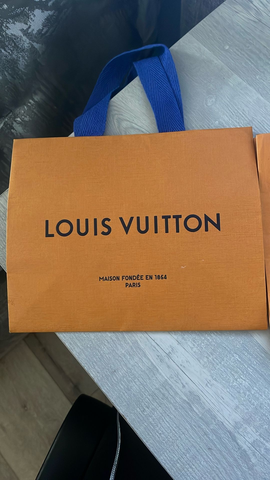 Louis Vuitton paper Bag