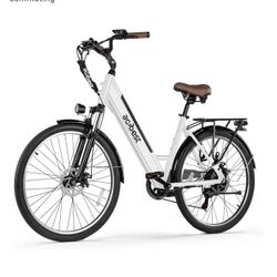 Electric Bike