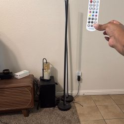 2 Stick Lights W Remote 