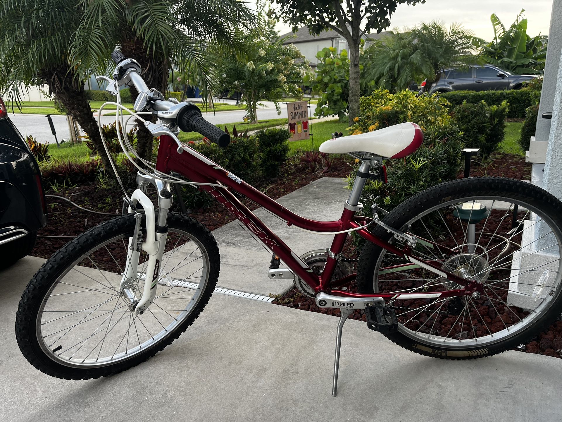 Trek Mountain Bicycle