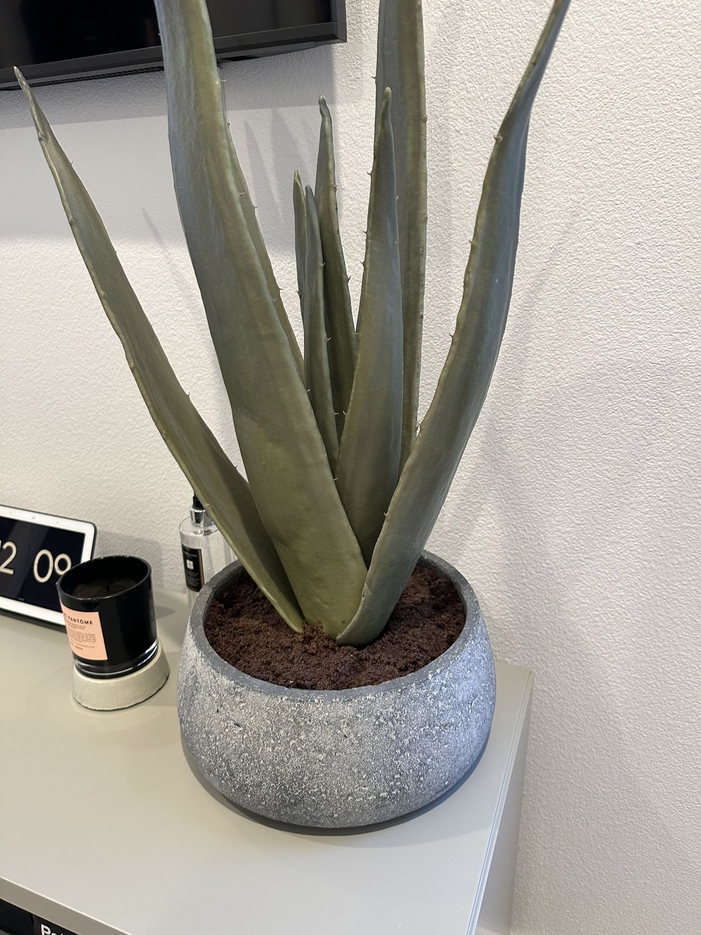 Crate And Barrel Potted Faux Agave Plant