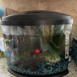 Fish Tank