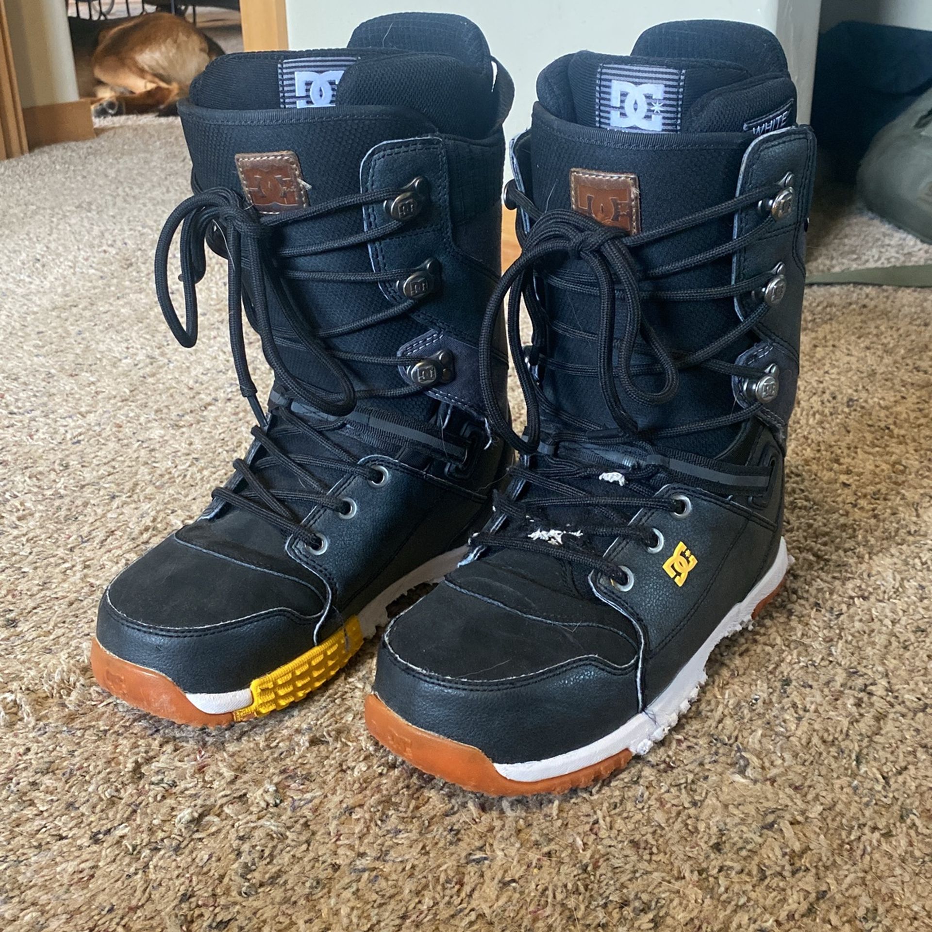 Snowboard Boots