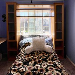 Entertainment Center 