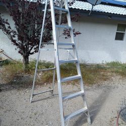 Ladder