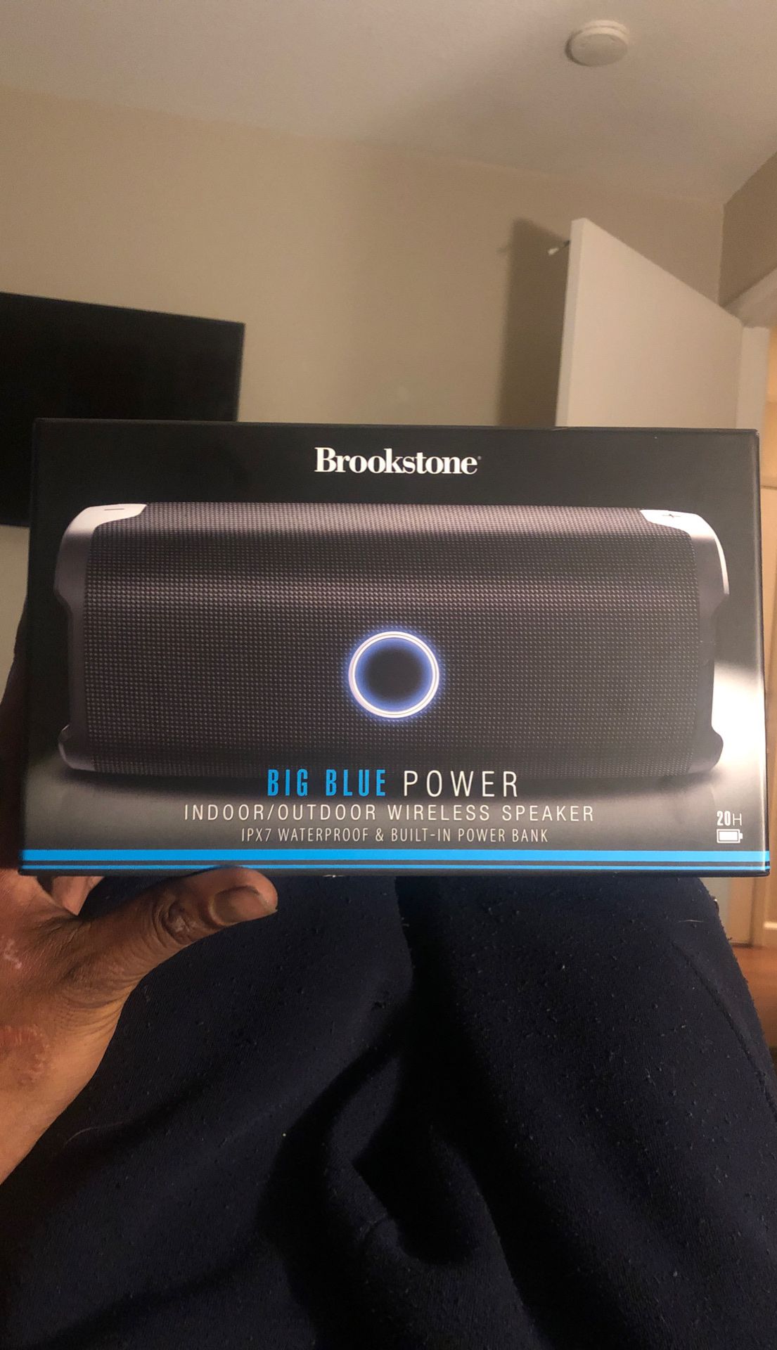 Brookstone big blue speaker