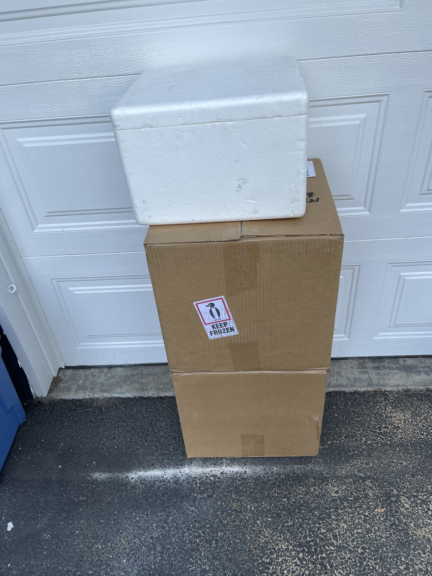 Free Shipping Boxes With Styrofoam Inserts