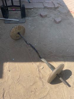 Curl Bar with Two 25 lb Weight Plates