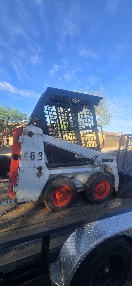 Bobcat