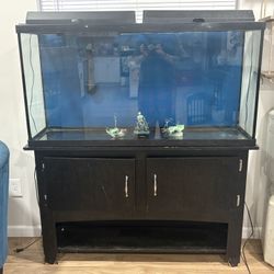 60 Gallon aquarium Set Up