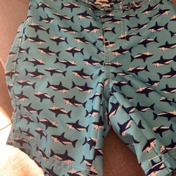 Swim trunks (18-24 Months) Janie And Jack