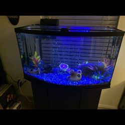 46 Gallon Fish Aquarium 