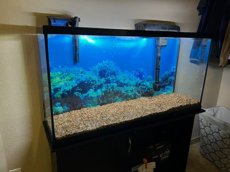 55 GALLON FISH TANK