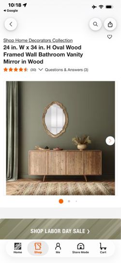 Home Decorators Collection Oval Wood Framed Wall Mirror