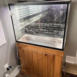 40 Gallon Fish Tank & Accessories